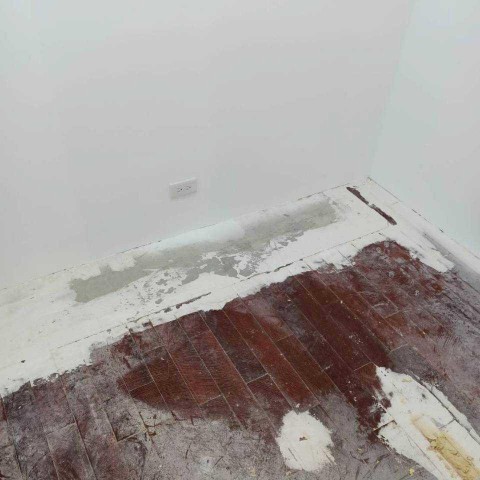 中山區、大同區、萬華區抓漏-實際案例